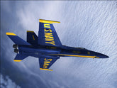 US Navy running on Biofuels