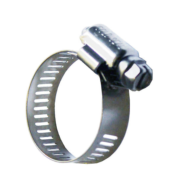 Metal hose clamp on a white background