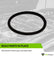 Fuel Pump O Ring Seal