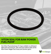 Fuel Pump O Ring Seal