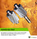 Goldstream Portable Monster Pump - Head