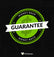 Goldstream Portable Monster Pump - Head