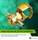 NEMA 56C Frame, GSM25 Oil Transfer Gear Pump