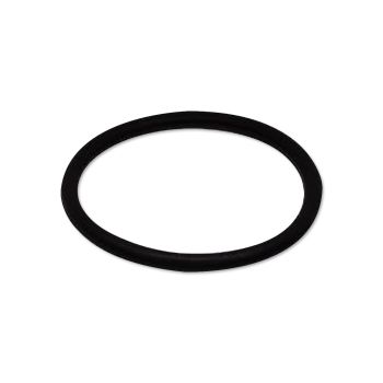 Fuel Pump O Ring Seal