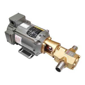Portable Oil Transfer Gear Pump 12gpm 12VDC