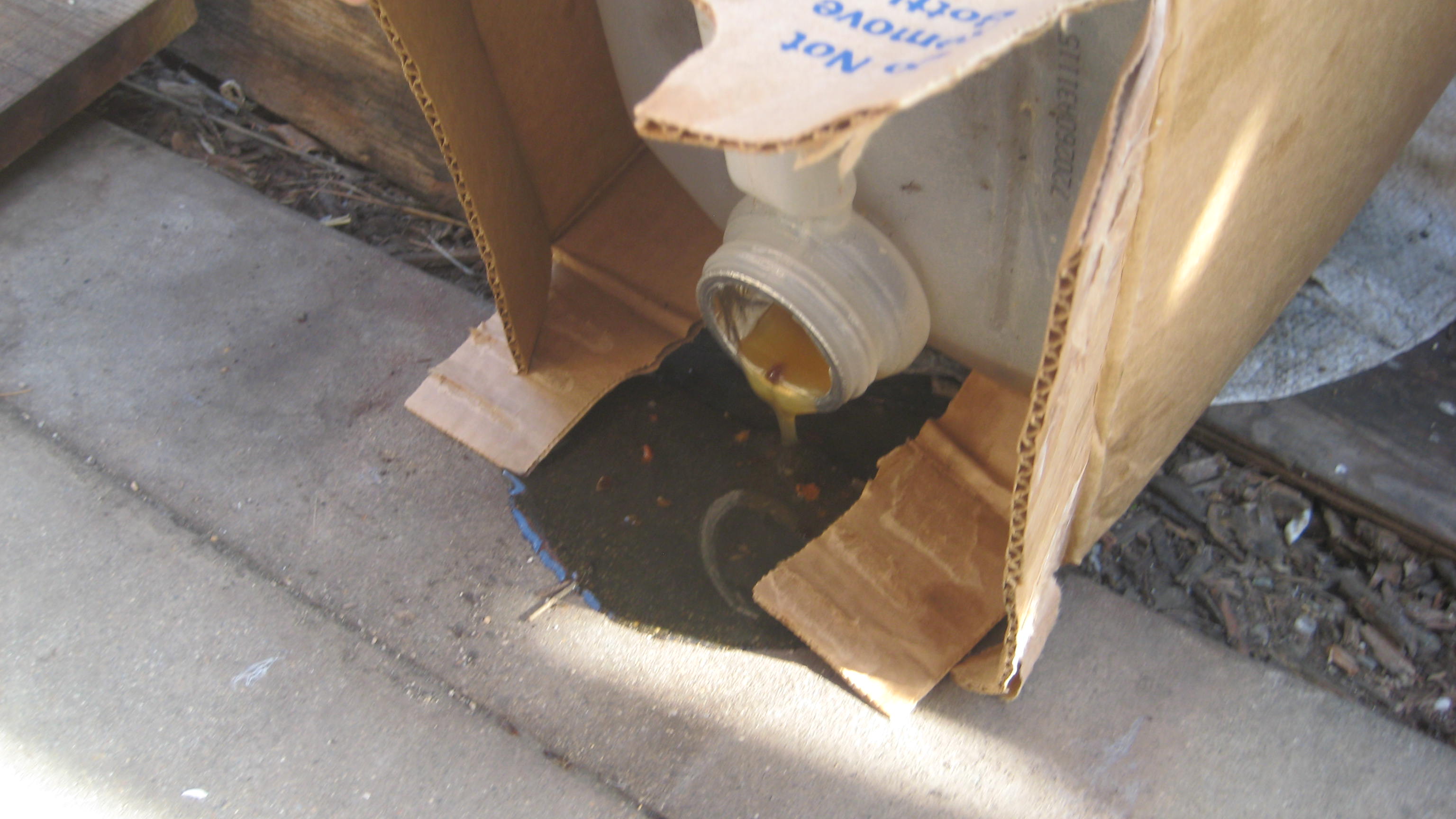 Waste Vegetable Oil Spills
