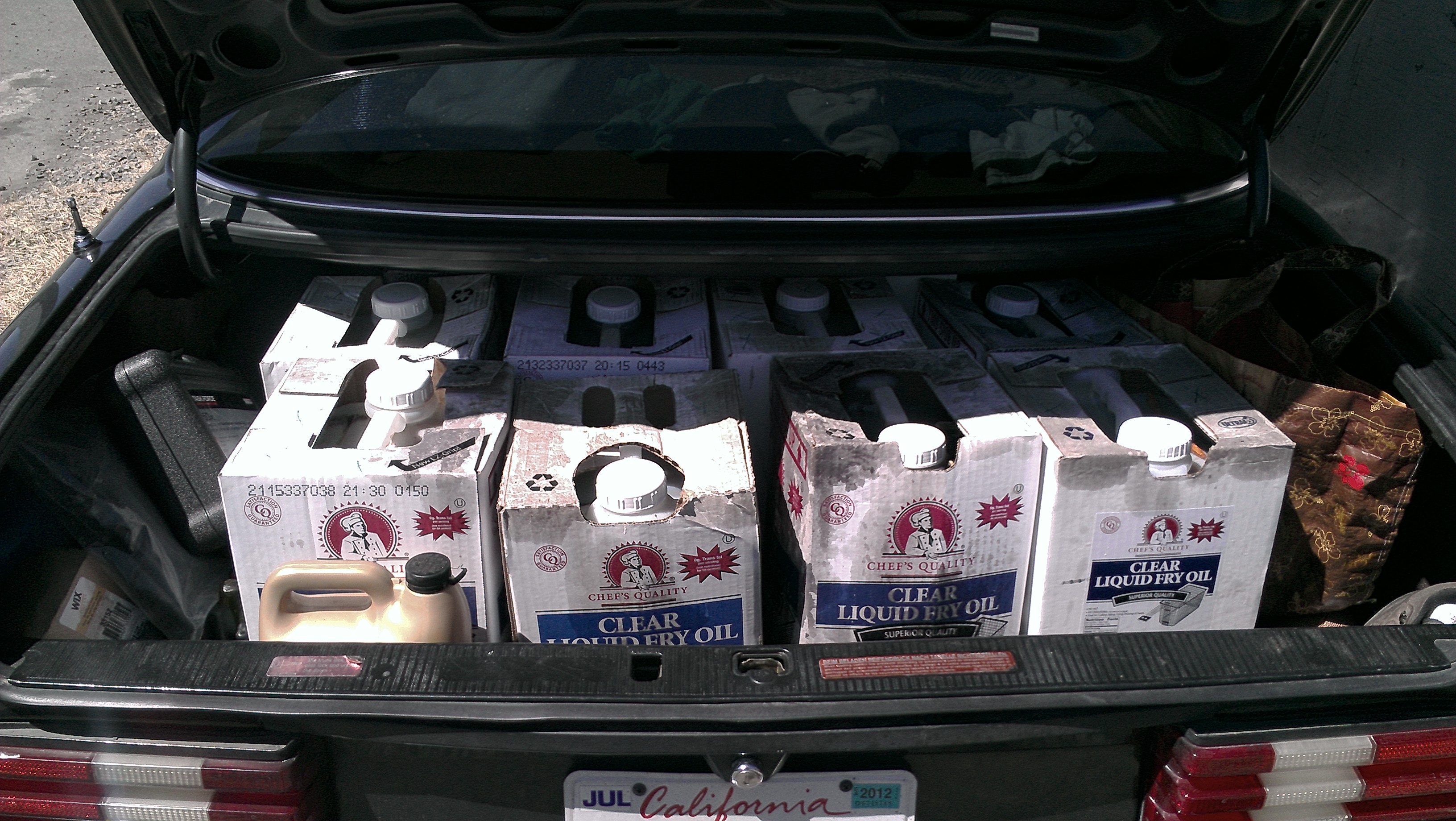 Oil Score!