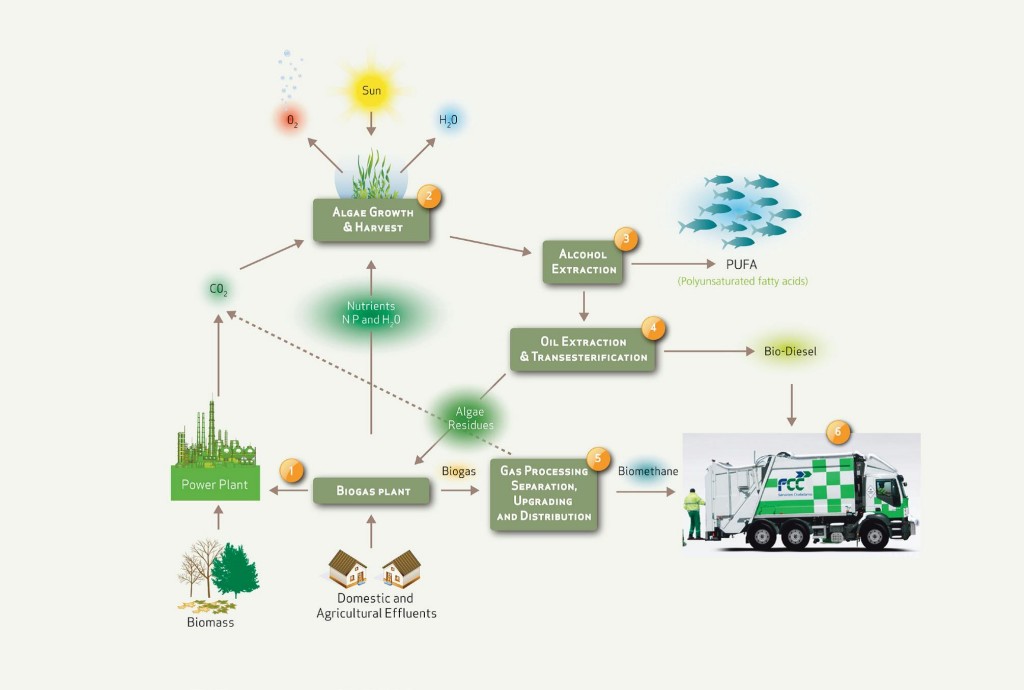 All-gas Algae Biofuel image