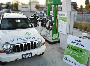 Algae Biodiesel 3