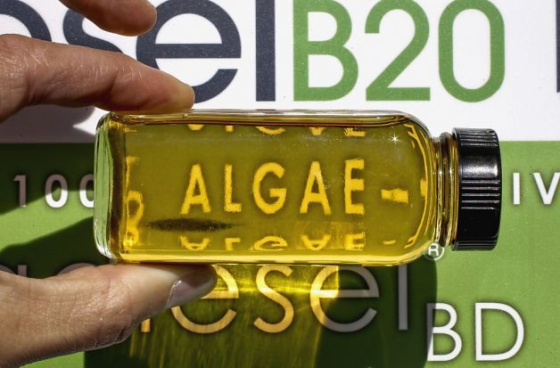 Algae Fuel Tests at the Pump