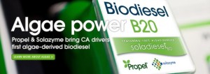 algae biodiesel 2
